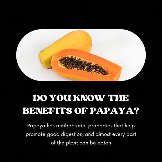 The Power of Papaya: Understanding the Health Benefits of Papaya and its Role in Detox & Combating Parasites. - Charlie’s Path
